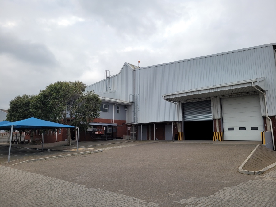 To Let Commercial Property for Rent in Epping Industrial Western Cape